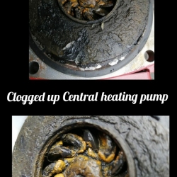 clogged-up-central-heating-pump